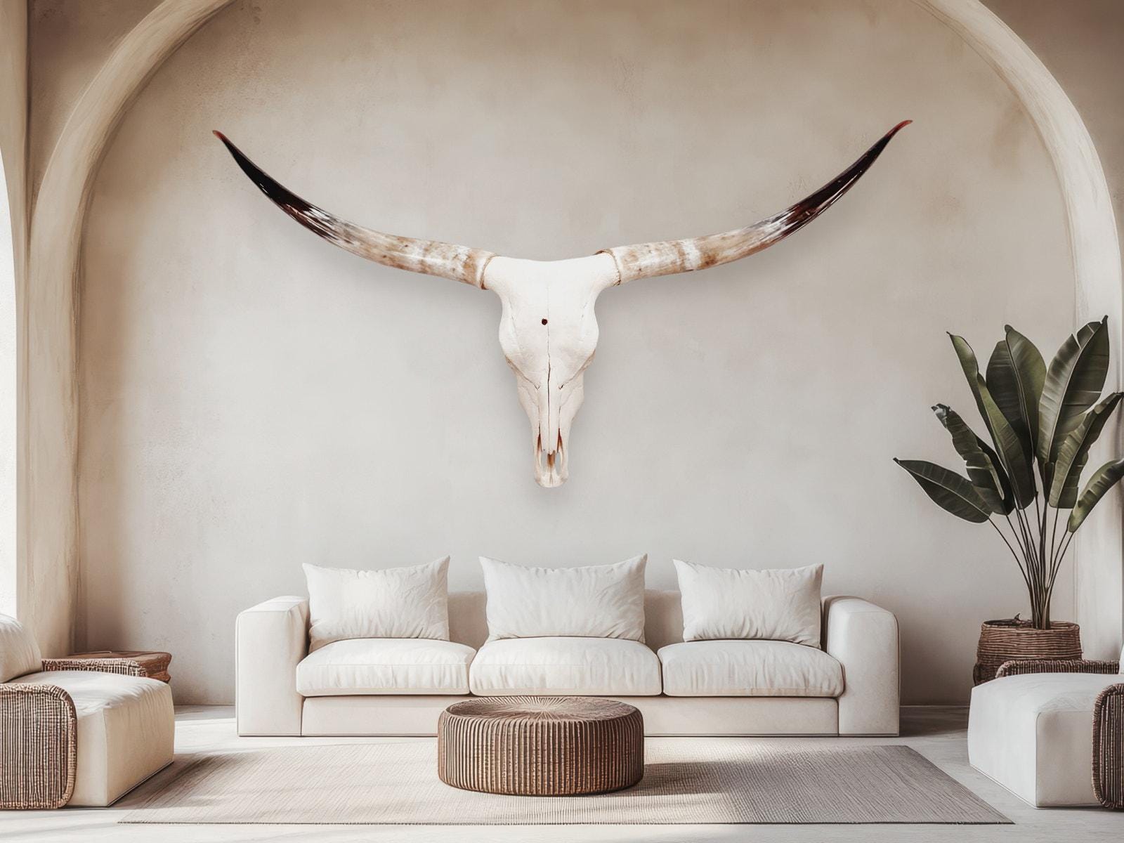 Crânio Real de Touro - Chifre LongHorn